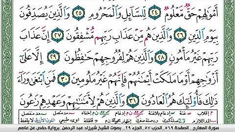 سورة المعارج شيرزاد عبد الرحمن طاهر Surah Al Maarej Sherzad Taher برواية حفص عن عاصم