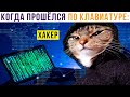 КОТ-ХАКЕР))) (прошёлся по клавиатуре) Приколы с котами | Мемозг 839