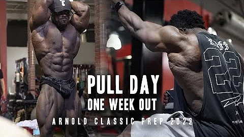 Pull Workout with IFBB Pro Anton Antipov | Arnold Prep 2022