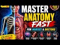 Anatomy and Physiology Crash Course Every Medical Student Needs