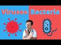 Viruses Versus Bacteria: Key Differences and Their Impact on Health