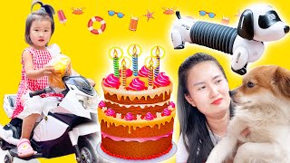 Changcady tổ chức sinh nhật cho con chó bằng bánh sinh nhật, bánh mì, chó điều khiển - Part 410