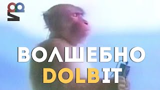 видео: DOLBY — как мы заново услышали мир картинка: DOLBY — как мы заново услышали мир