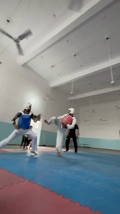 देखों ओर सिखो#tigertaekwondoacademyy  #panipat #fighters #fight  #youtubeshorts