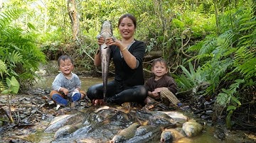 Harvest a large school of fish to sell at the market - cook porridge for my little daughter to eat