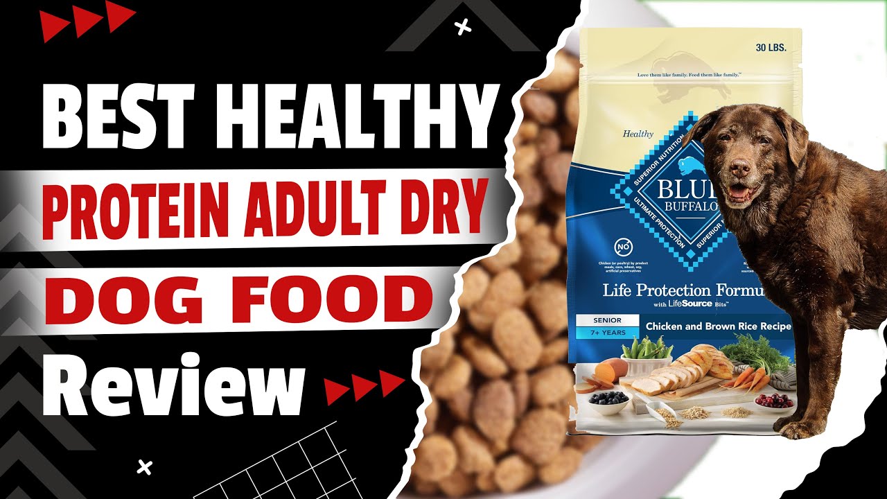Best 3 Dog Food  Purina ONE vs Blue Buffalo vs IAMS