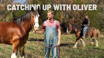 Catching Up With Oliver | Back In The Saddle With My Rescued Clydesdale!