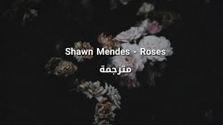 Shawn Mendes - Roses