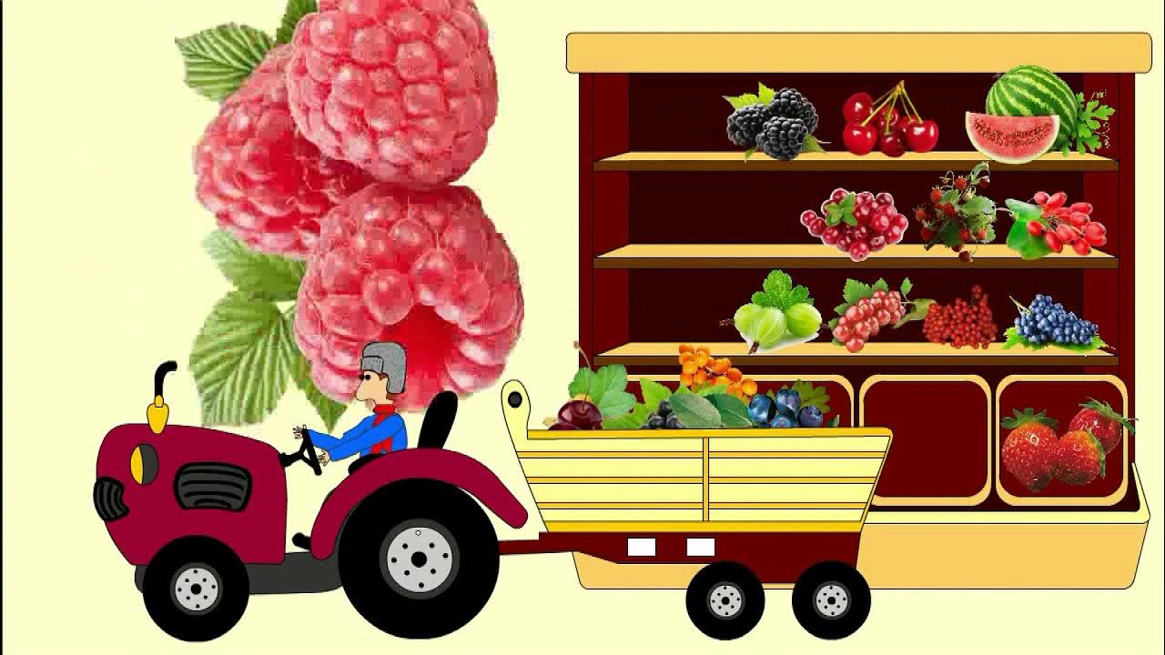 Ягодки трактор для малышей. Синий трактор для малышей. Трактор ягодки. Трактор везет фрукты.