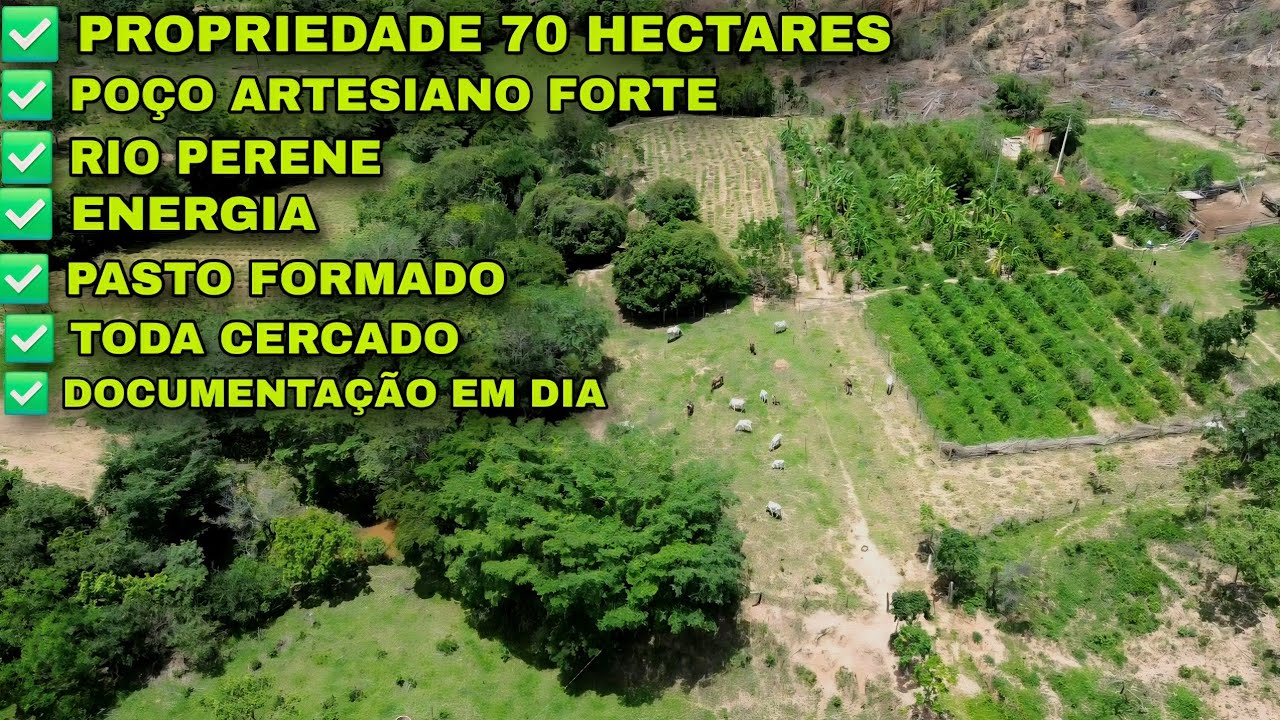 PROPRIEDADE 70 HECTARES COM POÇO ARTESIANO, RIO PERENE, ENERGIA, PASTO FORMADO, CERCA e DOCUMENTO OK