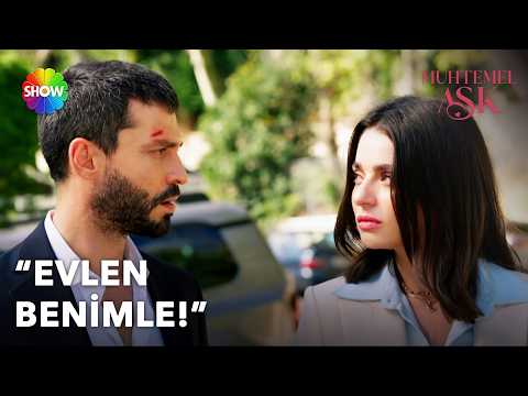 Will Defne and Kadir be able to reunite with Ali? | Likely Love Episode 13