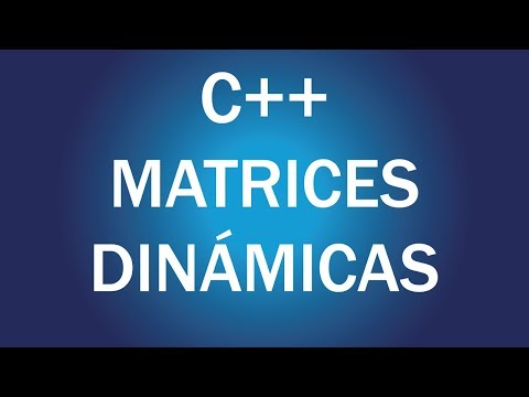 Video: Cómo Crear Una Matriz Dinámica