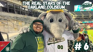 The Real Stars of the Oakland Coliseum