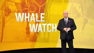 Whale Watch, Cambridge 25th April