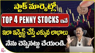 Top 4 Penny Stocks | Stock Market for Beginners | Guru Prasad stockmarket money | SumanTV Money