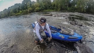 Summer Bass Fishing with Swimbaits Report
