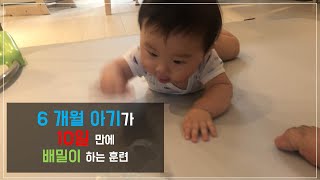 [배밀이 연습 방법] 6개월 아기 10일 만에 배밀이 성공하는 훈련법!