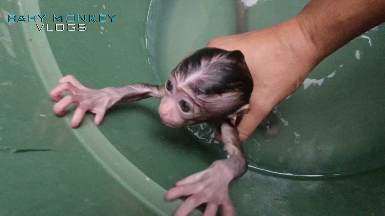 BABY MOCA TAKE A BATH, SHE STILL NERVOUS & AFFRAID OF WATER EVEN THE WATER IS WARM