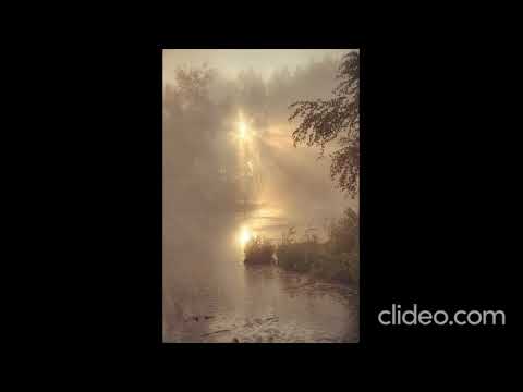 Михаил Щербаков - Менуэт