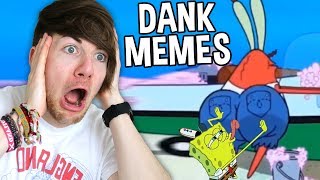 REACTING TO DANK MEMES SENT BY FANS #4
