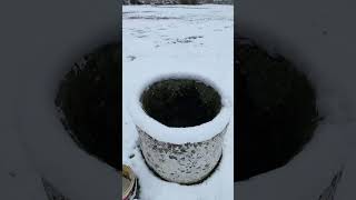 Kar Yağışıyla Köyde Gezinti.