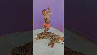 Download Lagu Obedient Smart SokYaa , ToTo ,Phao And Sokhaa Are Harmony And fun Will MAKE YOU SMILE MP3