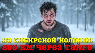 видео: Из Сибирской Колонии На Волю: 72 часа и 200 км через тайгу! картинка: Из Сибирской Колонии На Волю: 72 часа и 200 км через тайгу!