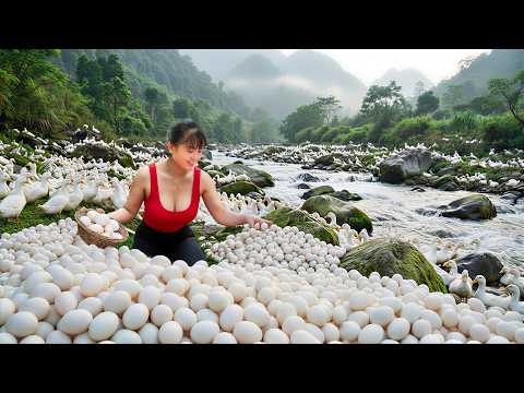 [TIMELAPSE] -- 568 Days Harvesting A Lot Of Duck Eggs, Chicken Eggs, Chicken, Duck Go To Sell