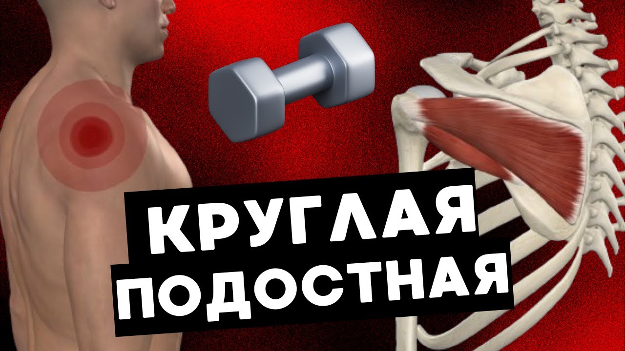Укрепление ротаторной манжеты плеча | Малая круглая, подостная мышца 🟩⬜️⬜️