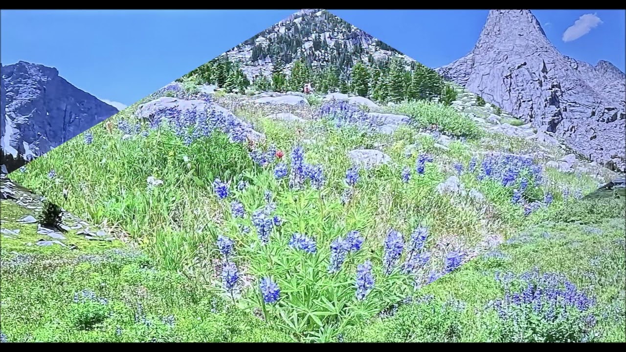 nrog nyiaj tub mloog ib zaj kwv txhiaj kho siab os ib tsoom phooj ywg