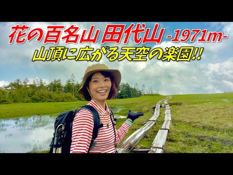 【花の百名山 田代山】尾瀬の山を縦走！田代湿原の絶景＆民宿滞在記！