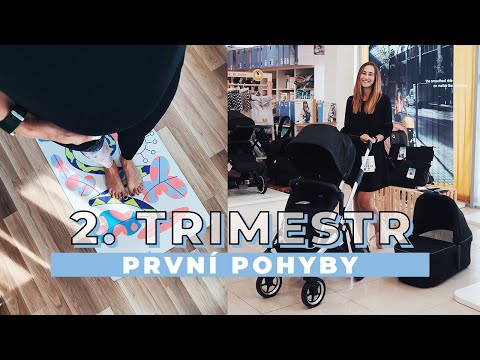 Video: Jak Identifikovat První Pohyby