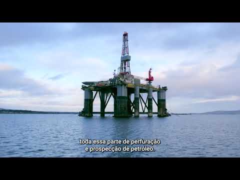 Documentário 'Ocean Noise Pollution': Como o barulho de embarcações impacta a vida marinha