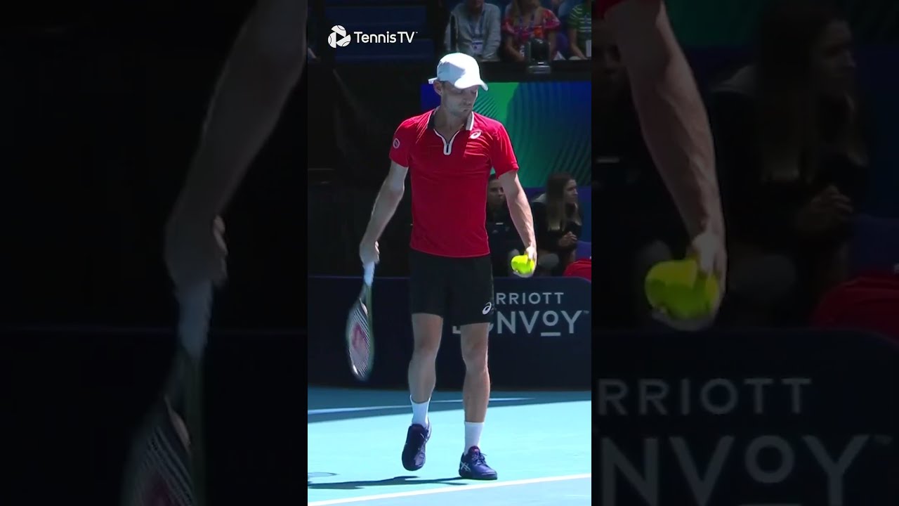 UNBELIEVABLE Sportsmanship From Grigor Dimitrov 