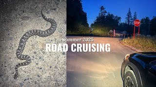 Michigan Road Cruising After Dark: Finding Snakes Most People Never See