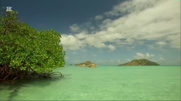 تلاوة هادئة  من سورة سبأ للقارىء هشام بن مزروع المزروع#اكسبلور #راحة_نفسية #nature #ترند_السعودية