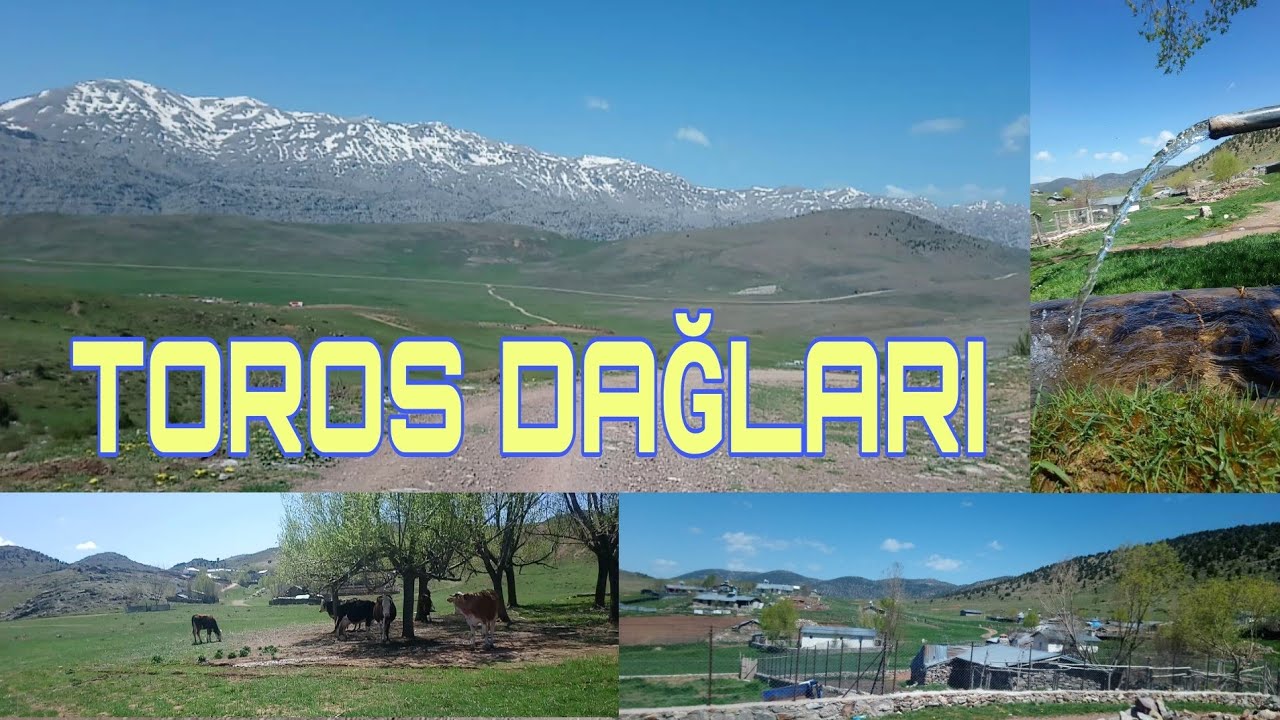 BİZİM YAYLAYA YOLCULUK / BELGESEL