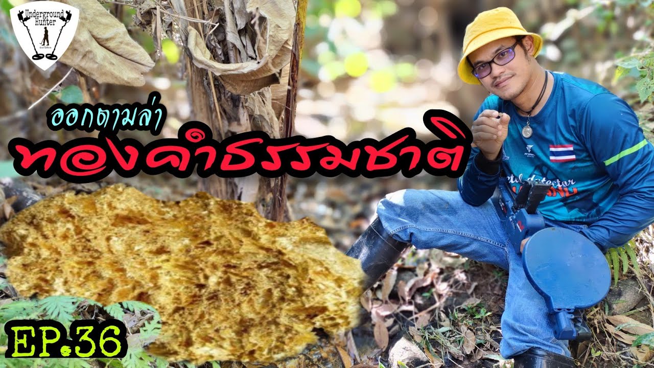 EP.36 ออกตามล่าทองคำธรรมชาติ|นักล่าใต้พิภพ|Underground Hunter|ล่าสมบัติ|เครื่องสแกนโลหะ|