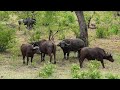Zuid Afrika (deel 4)