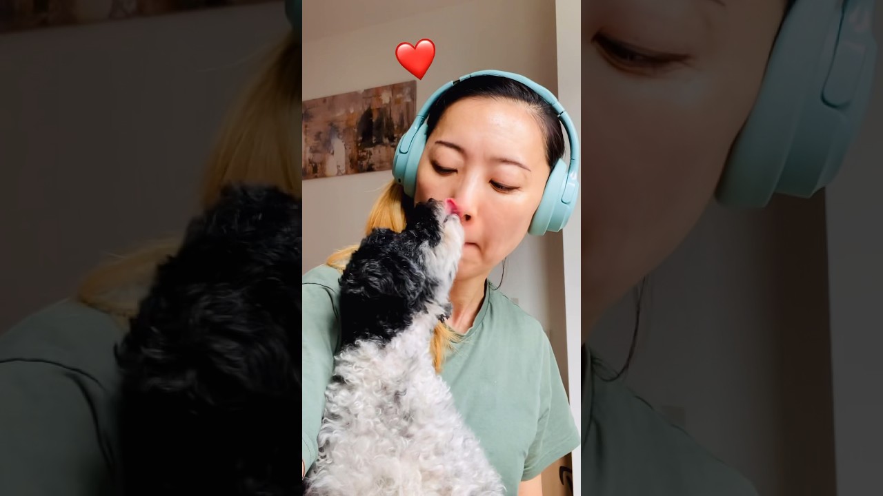 walk, work, play date! 🐶 April 9th Diary