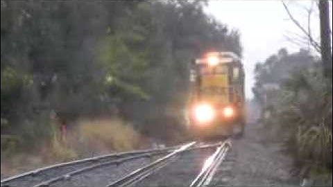 Bug Vs. Train