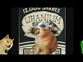 Uranium fever a cinematic doge music