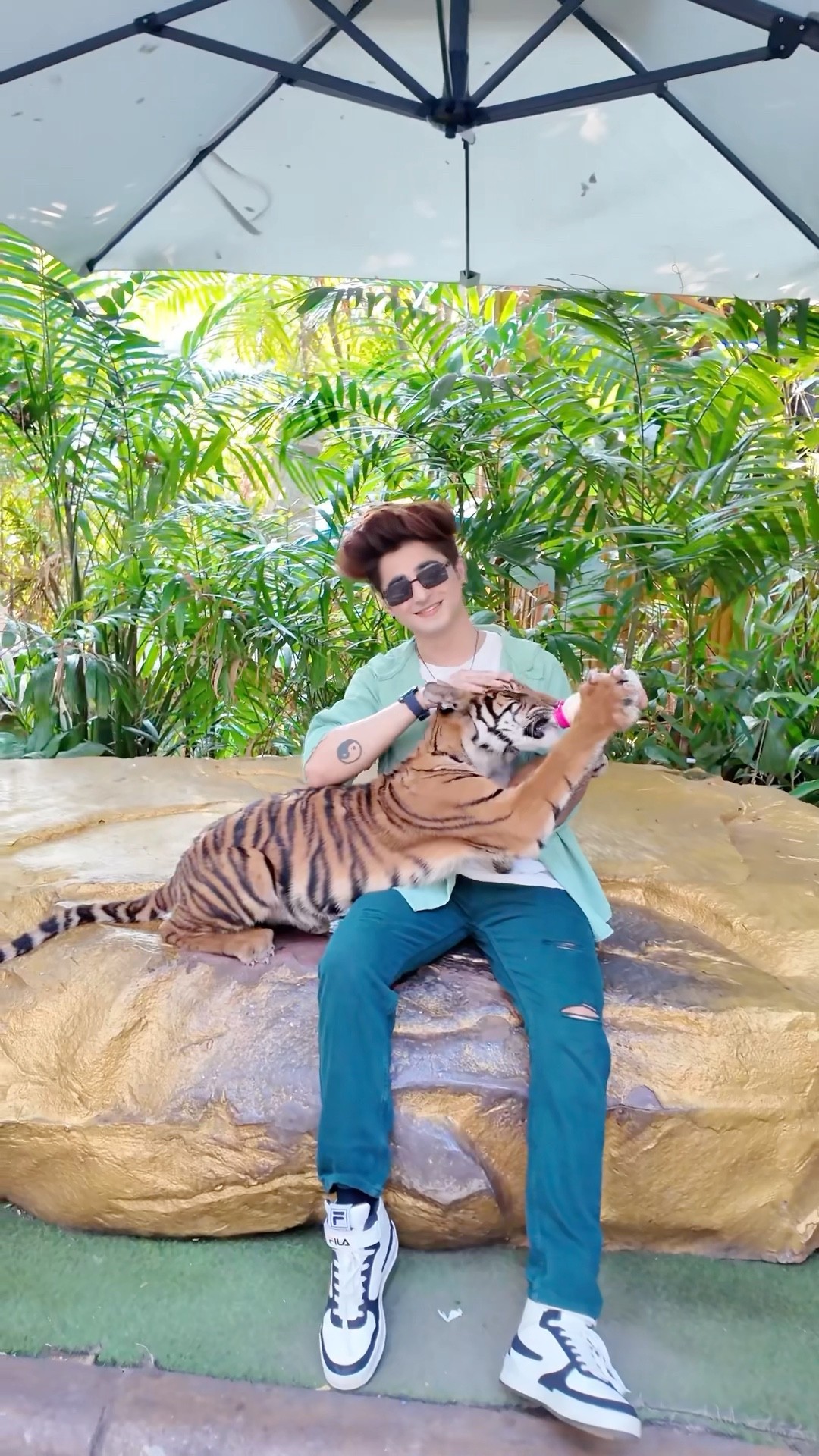 Baby tiger ?? aap yeh video kis jagah se dekh rahe ho comments me batao❤️ #christmas #trending