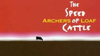 Video thumbnail of "Archers of Loaf - Don't Believe the Good News"