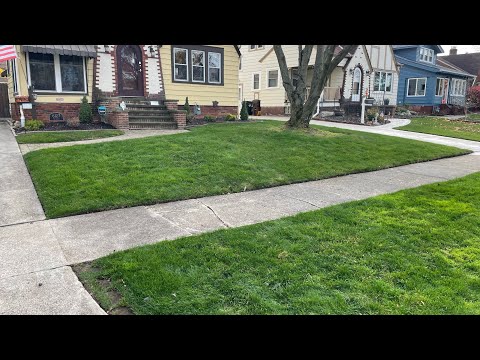 Meticulous leaf clean