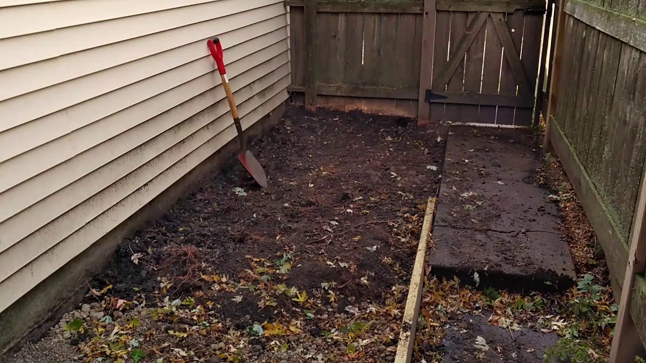 Home Improvement: Dog Area