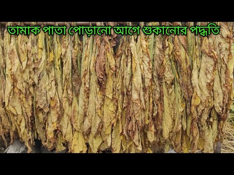 ভিডিও: অ্যাপল টিভি কিভাবে ব্যবহার করবেন (ছবি সহ)