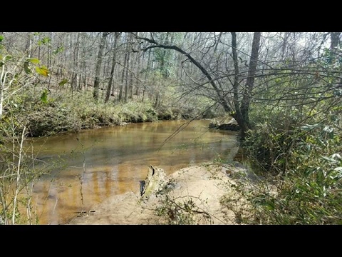 1740 Reedy Creek Road, Forsyth, GA home video tour