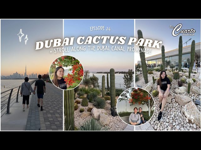 Exploring Dubai's Hidden Gem: A Tour of DUBAI CACTUS PARK  - YouTube