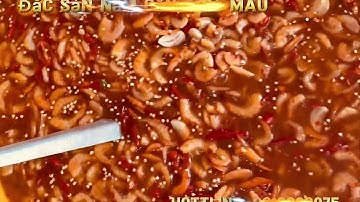 Mắm Tôm Đặc sản Năm Căn - Cà Mau.       Hotline: 0916989075